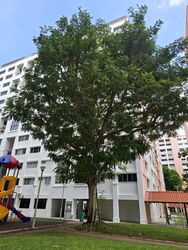 Yishun Avenue 11 (Yishun),  #634585161